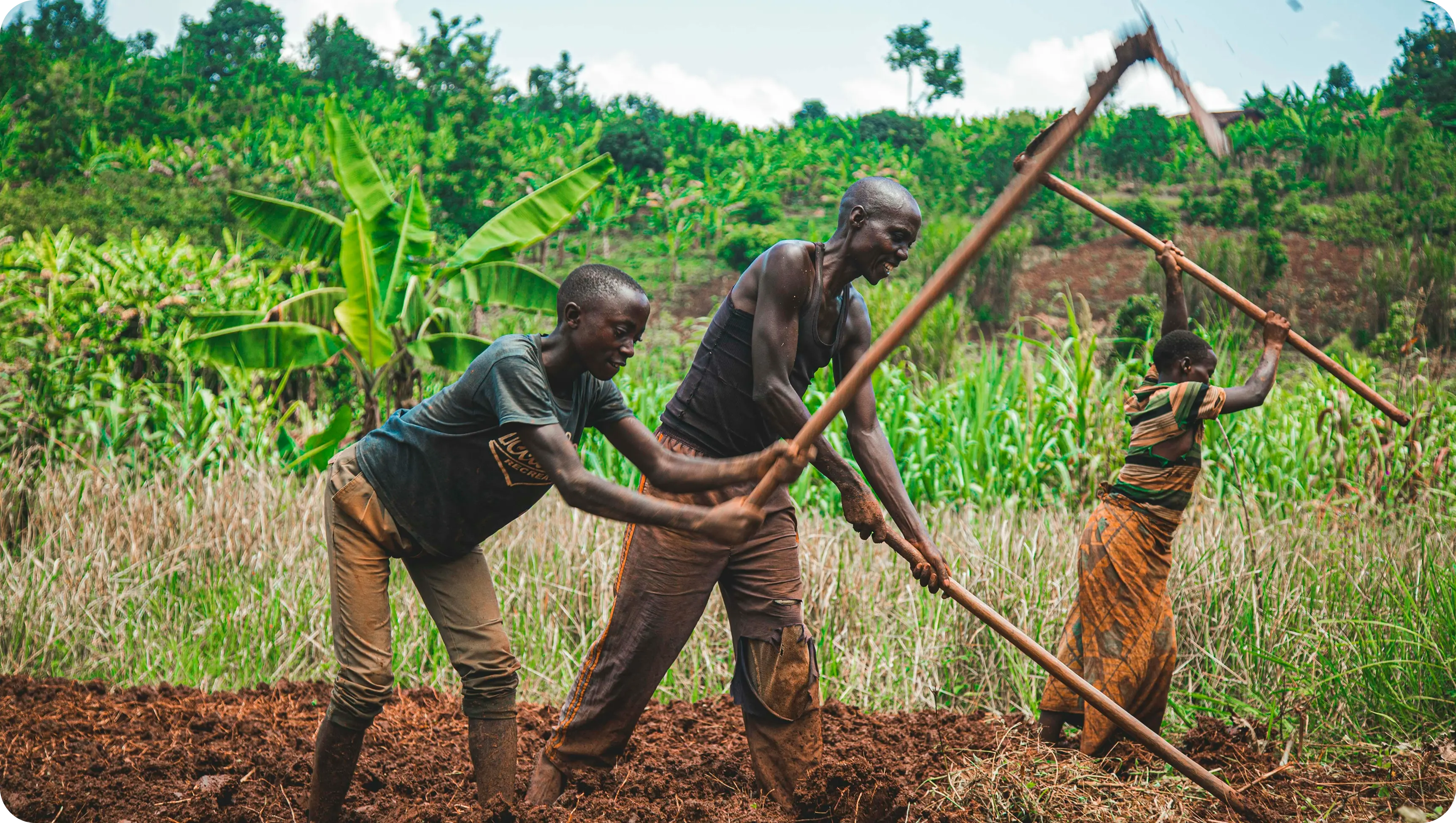 farmer cultivating