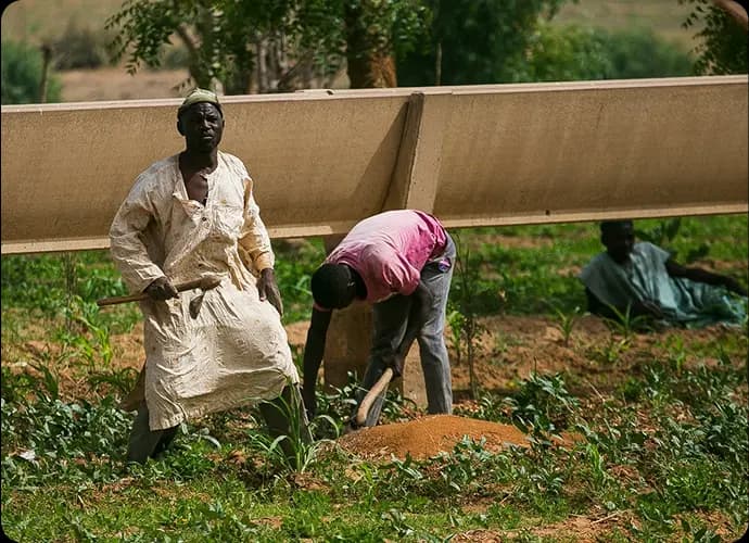For Farmers